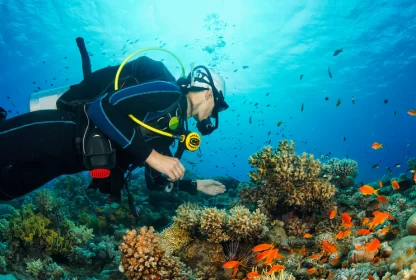 Is Maldives good for scuba diving?