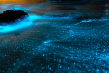 Where are the glowing beaches in the Maldives?
