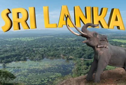The Overall Travel Guide to Sri Lanka 2024