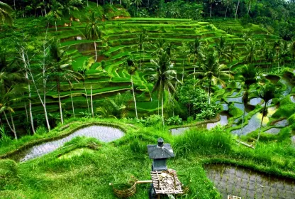 Best time to go to Bali