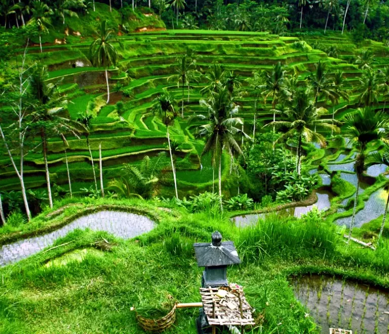 best time to go to bali