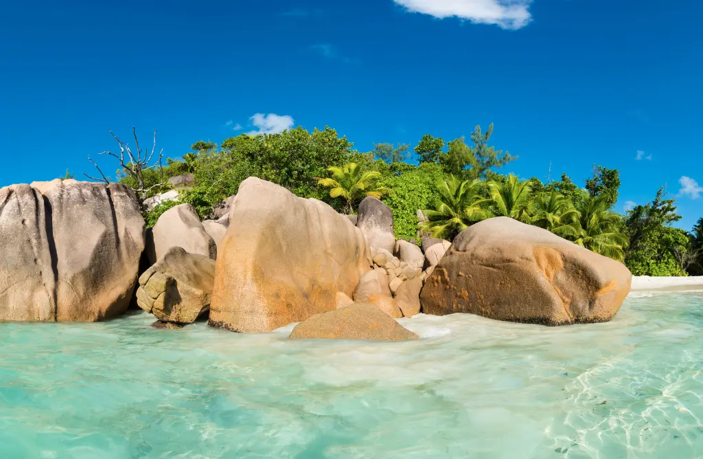 Seychelles in January