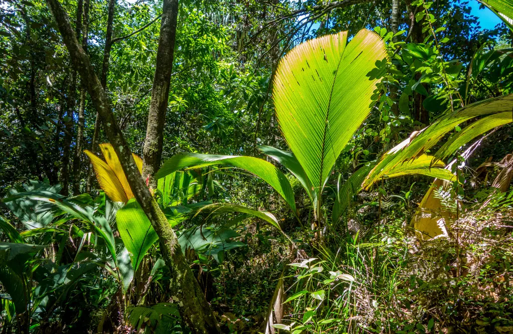 Seychelles in March