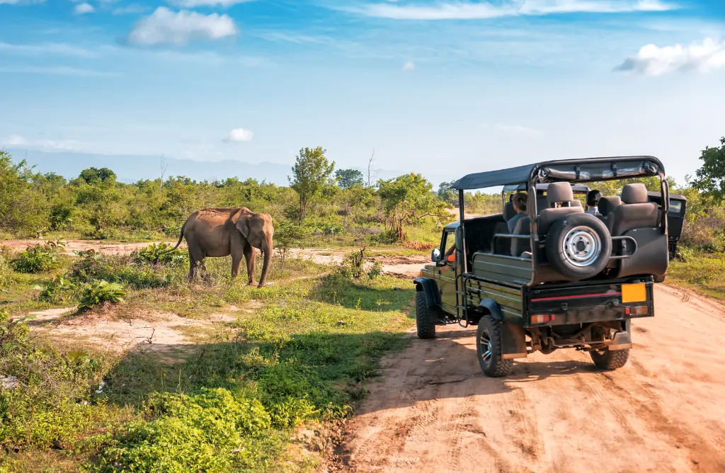 Yala National Park