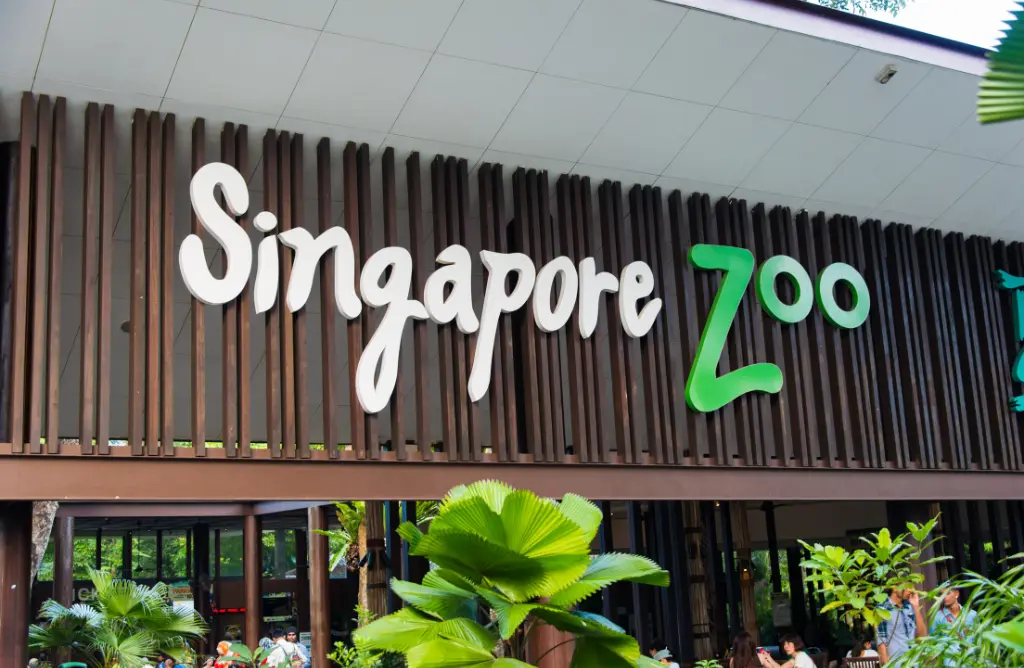 Romantic Places to Visit in Singapore For a Honeymoon