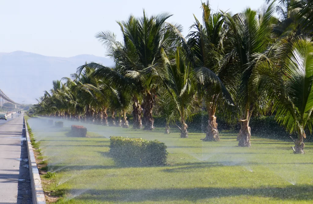 Salalah: A Spot to Refresh Yourself