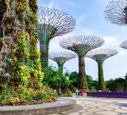 singapore package tour for 4 days